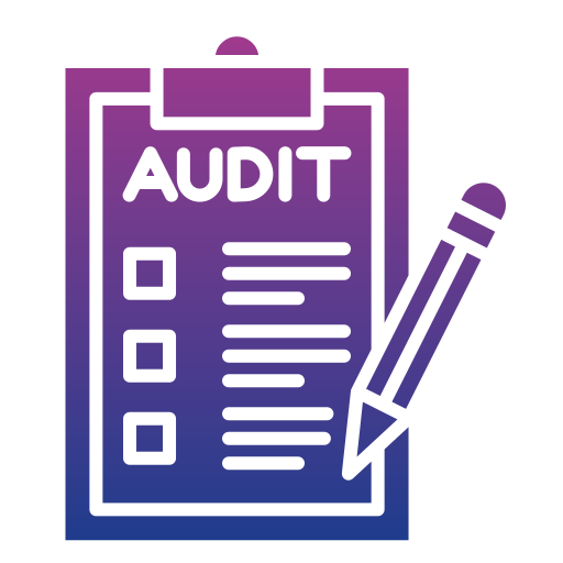 Audit